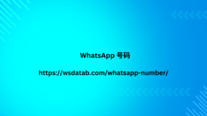 WhatsApp 号码