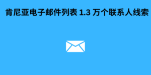 肯尼亚电子邮件列表 1.3 万个联系人线索