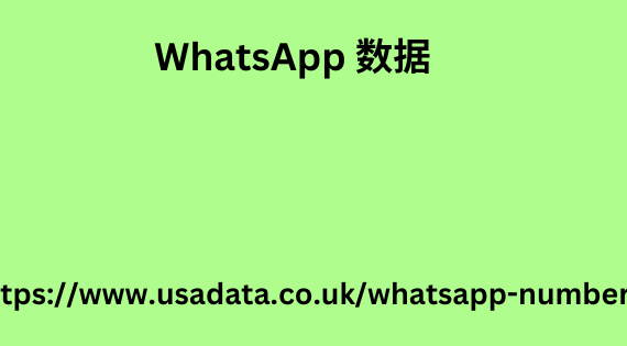 WhatsApp 数据