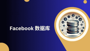 Facebook 数据库