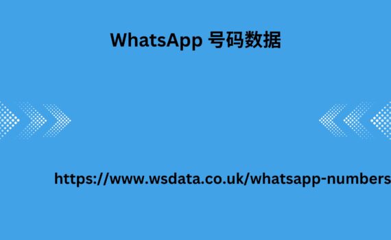 WhatsApp 号码数据