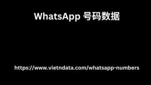 WhatsApp 号码数据 