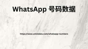 WhatsApp 号码数据