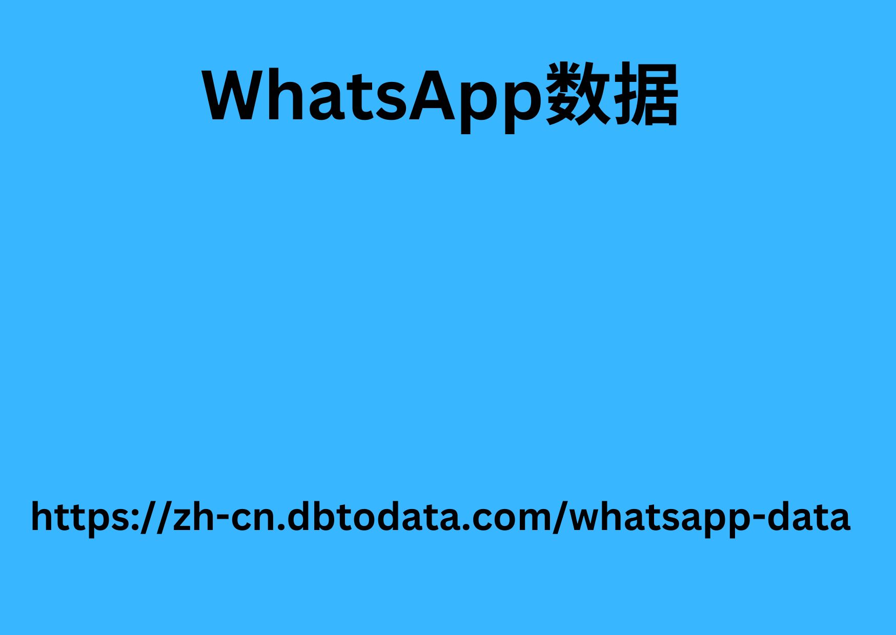 WhatsApp 数据