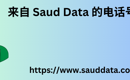 来自 Saud Data 的电话号码数据